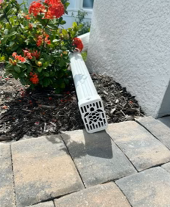 Sea turtle gutter cover installed on home exterior, coastal-style downspout end cap from Coastal Spouts.